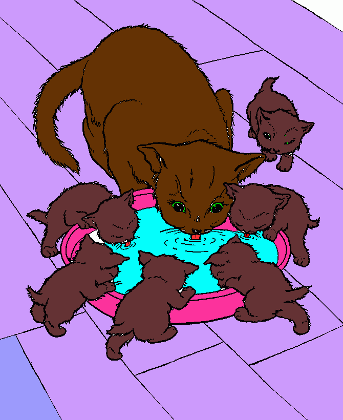 gatos tomando agua para colorear