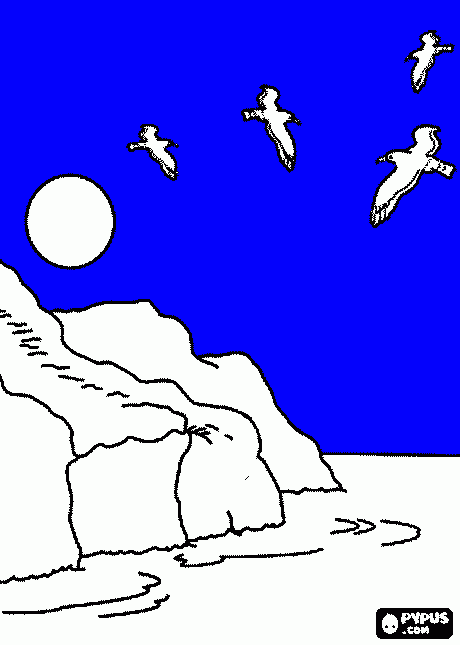 GAVIOTAS para colorear