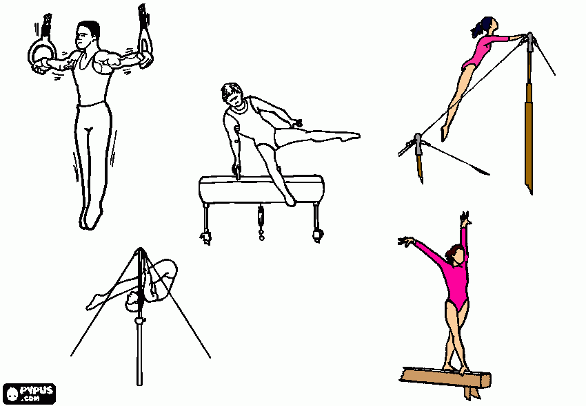 gim para colorear