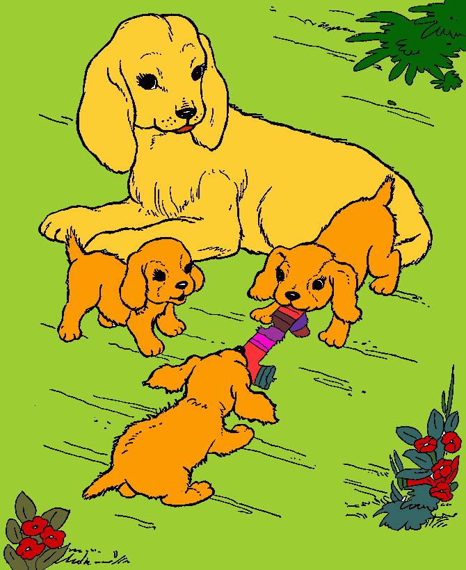 gossos felisos para colorear