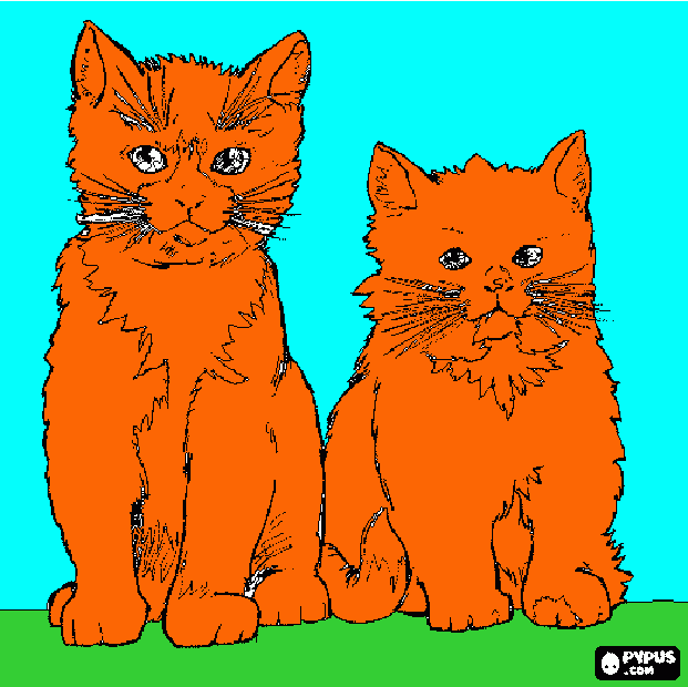 grupo de gatos vistos de cara. para colorear