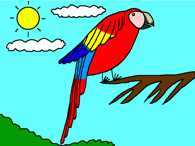 guacamaya roja para colorear, guacamaya roja para imprimir guacamaya roja para colorear, guacamaya roja para imprimir