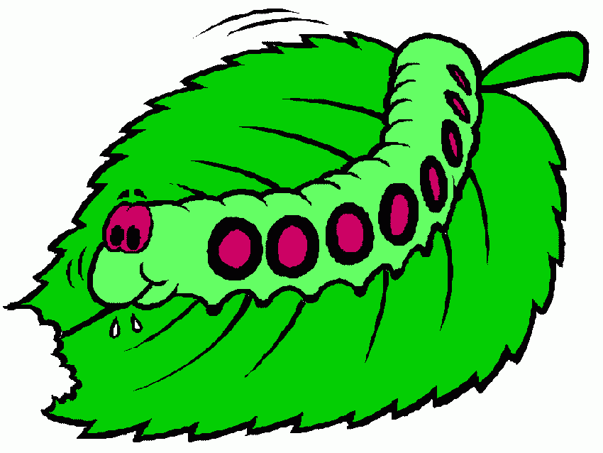 gusano para colorear