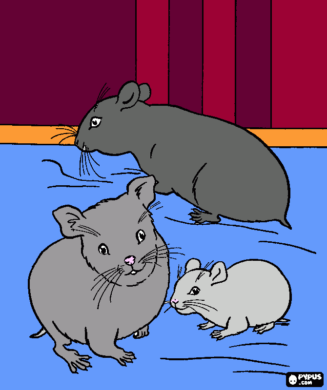 Hamsters para colorear