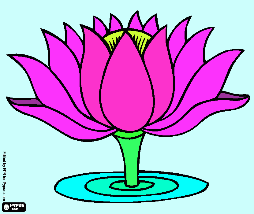 HERMOSA FLOR ACUATICA para colorear