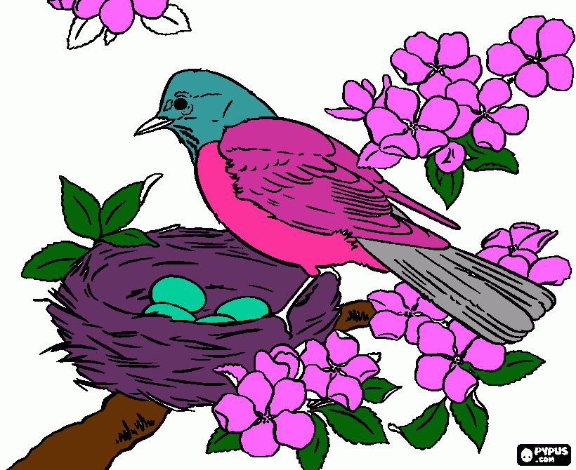 HOLA POPO para colorear