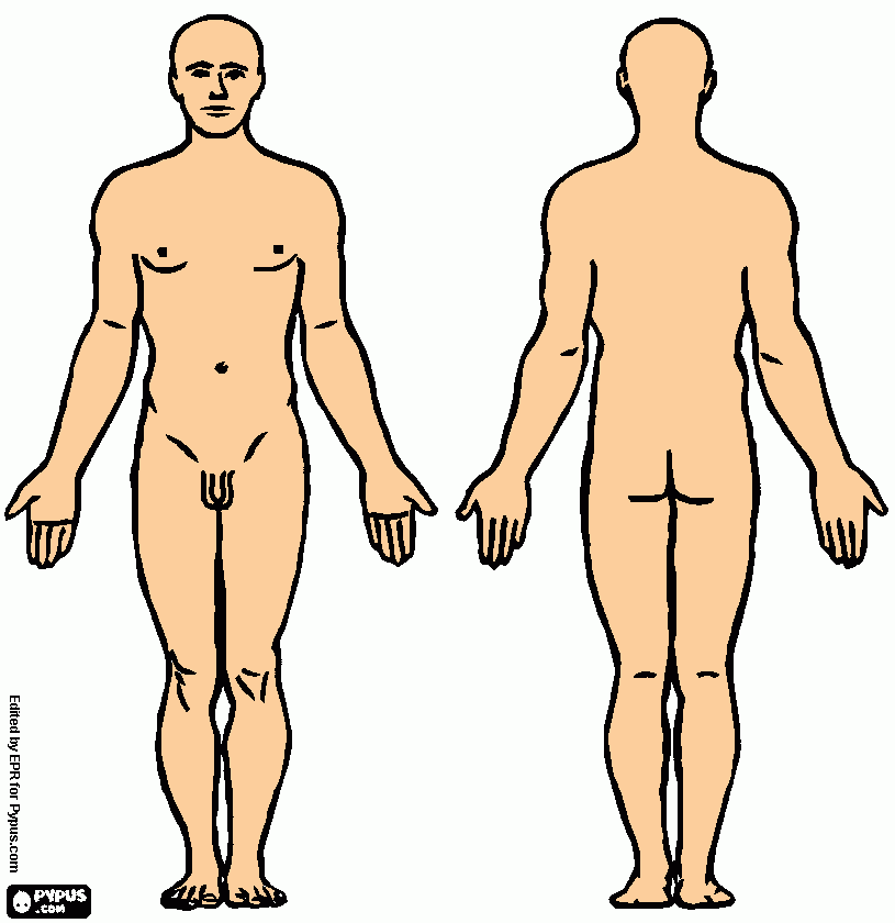 hombre por delante y detrás para colorear