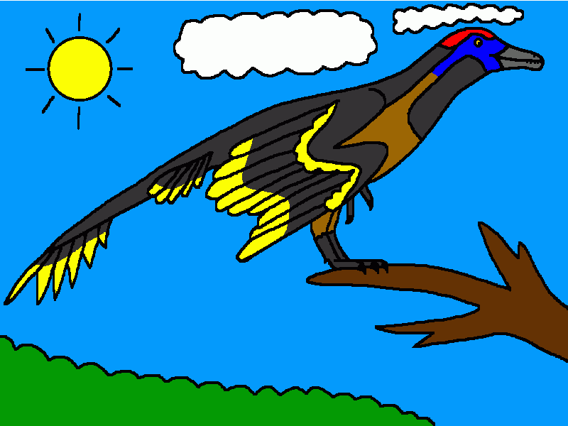 jeholornis para colorear