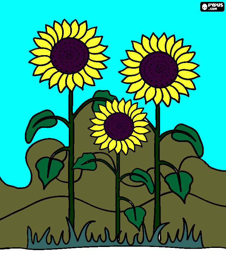jirasoles para colorear