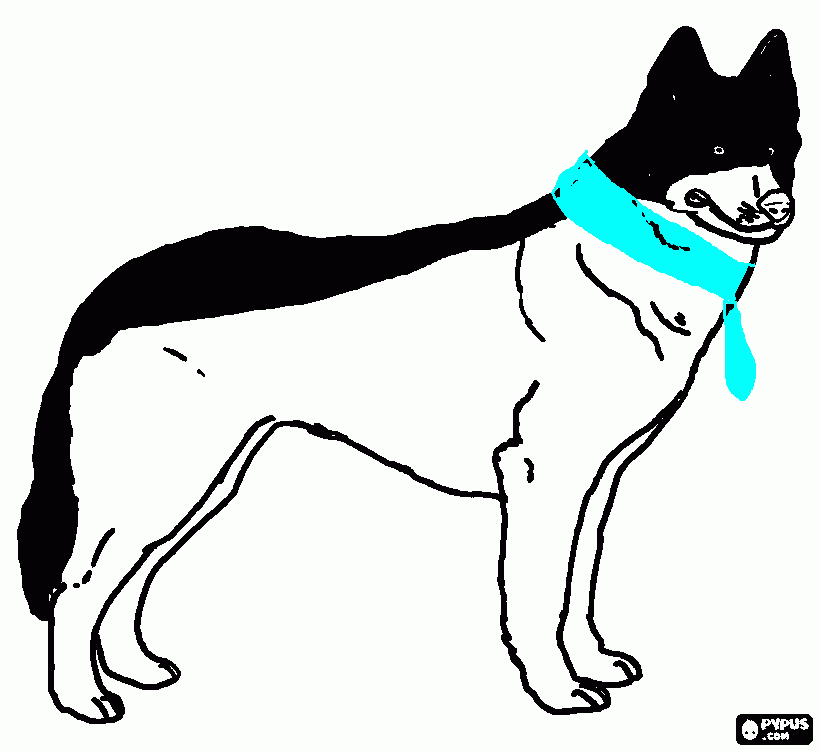 Kyle para colorear