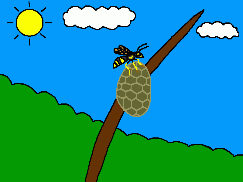 la avispa común en un panal para colorear
