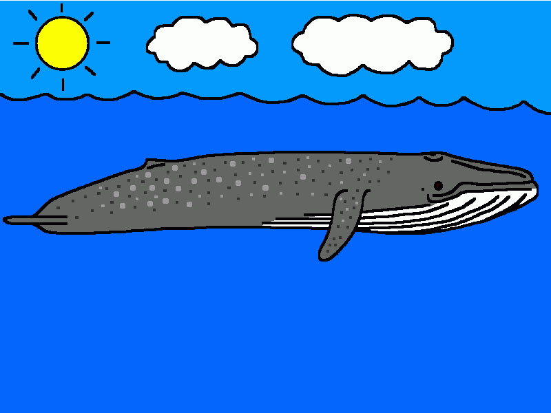 la ballena azul para colorear