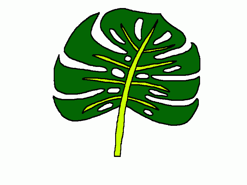 la hoja de selva para colorear