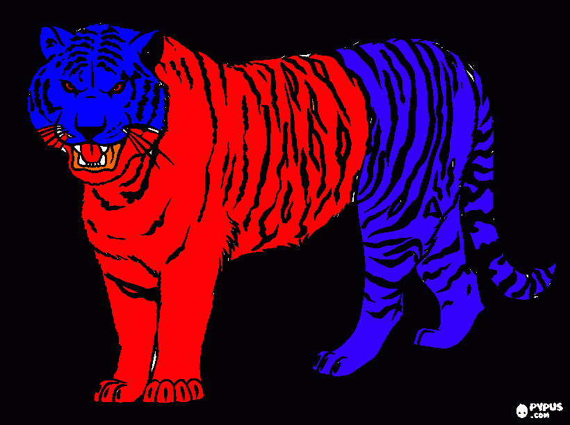 la mascota  del  dim para colorear