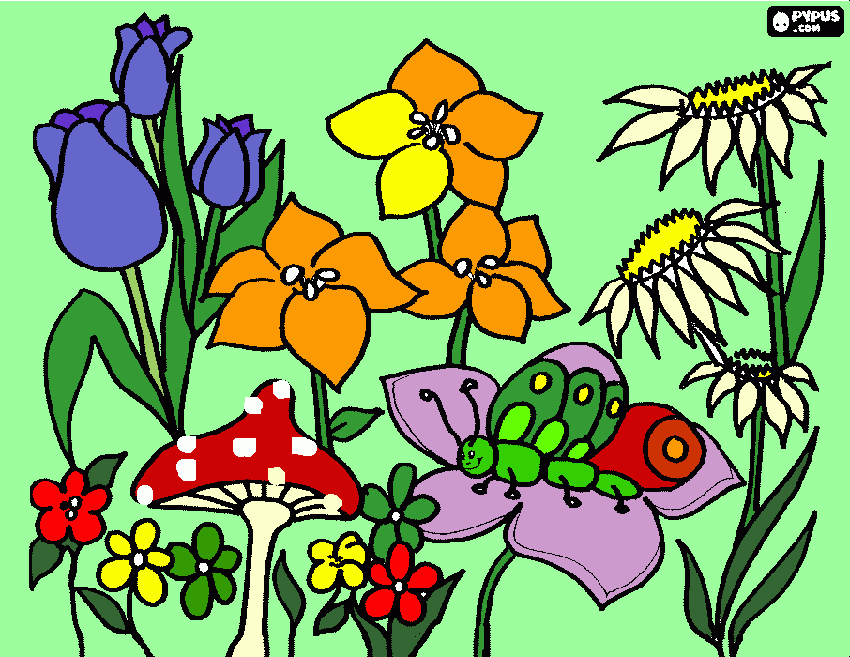 La Naturaleza Hermosa para colorear