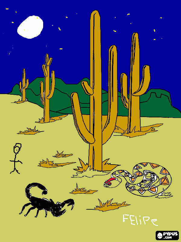 LA NOCHE EN UN CAMPO para colorear