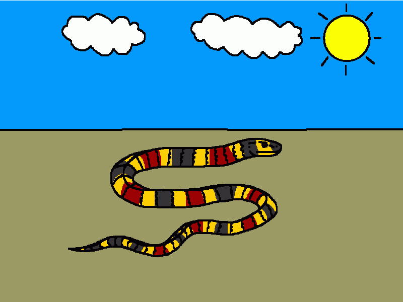 la serpiente coralillo arlequín para colorear