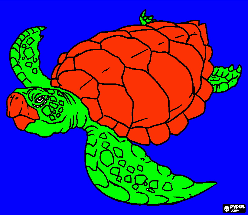 la tortuga marina para colorear