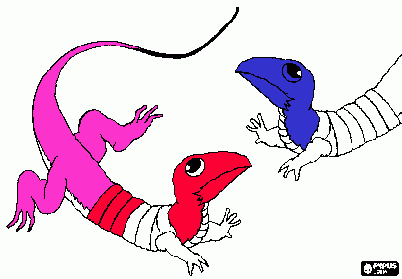 lagartijas para colorear