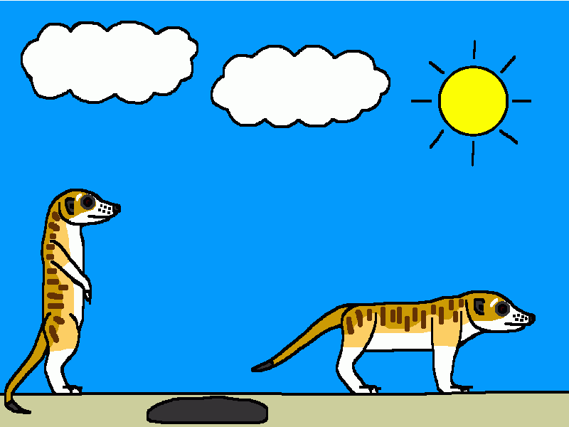 las dos suricatas para colorear