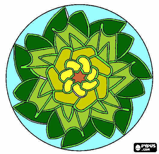 Lechuga Mandala en colores para colorear