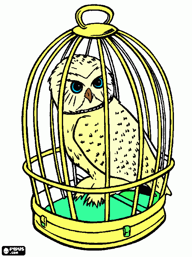 Lechuza de HARRY POTTER hedguid para colorear
