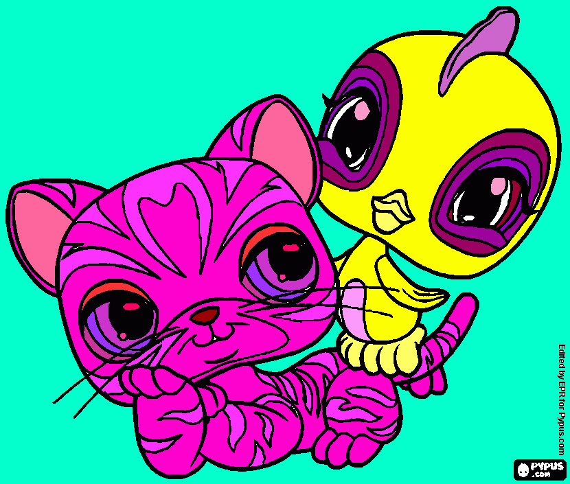 litte pet para colorear