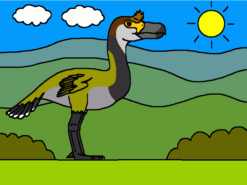 llallawavis para colorear