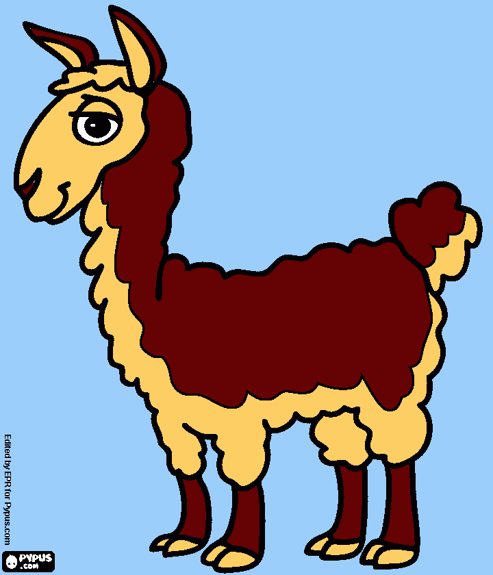 llama el animal conocido del imperio de los antiguos incas para colorear