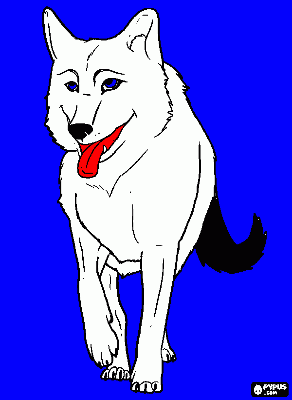 lobo  polar para colorear