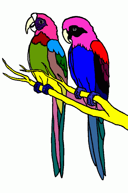 Loros para colorear