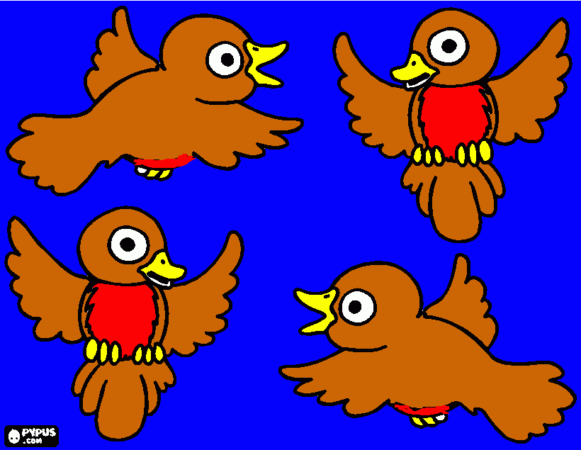 los amigos pajaros para colorear