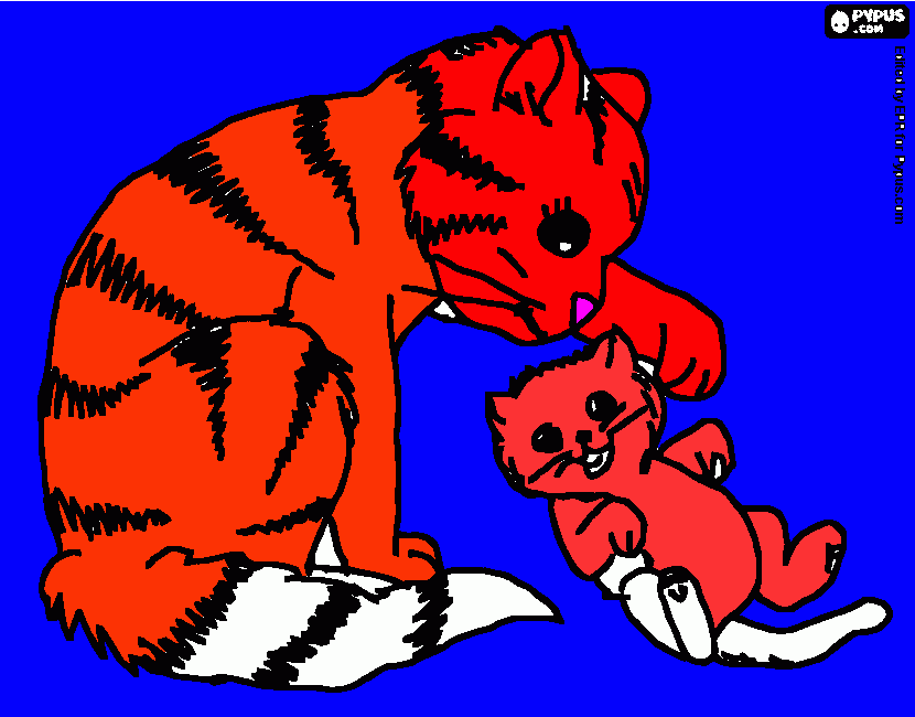 los gatos son naranjas para colorear