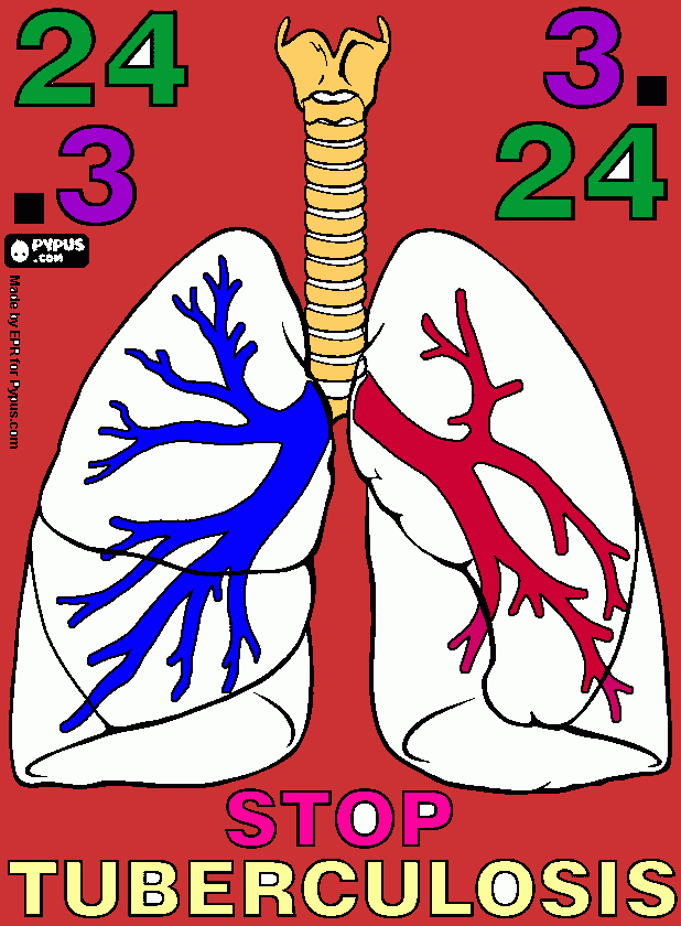los pulmones de natalia araley,y de mayeli ariday. para colorear