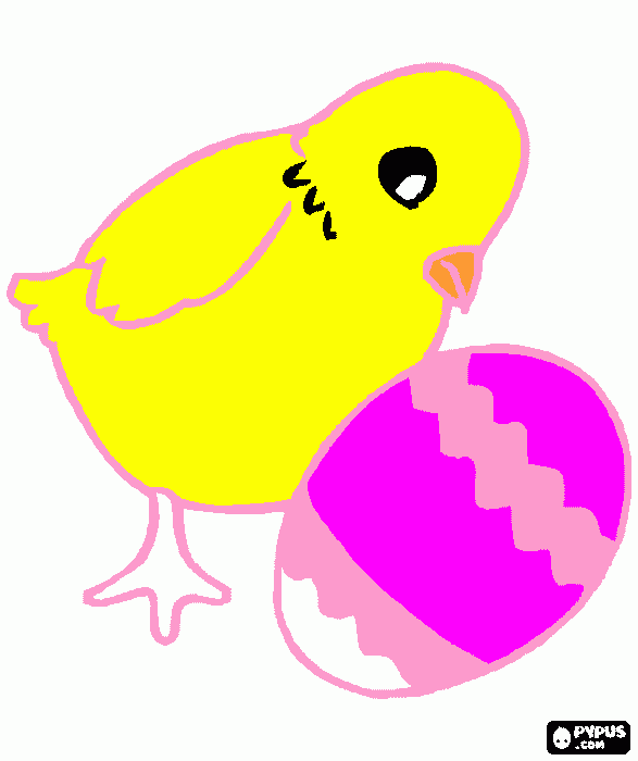 mama este es mi pollito para colorear