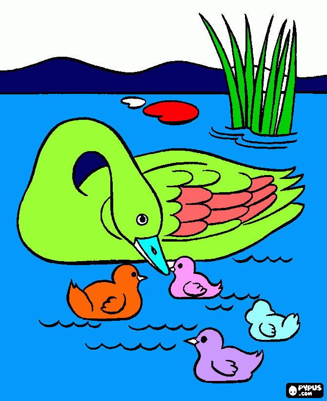 mama pato nadando con los patitos para colorear