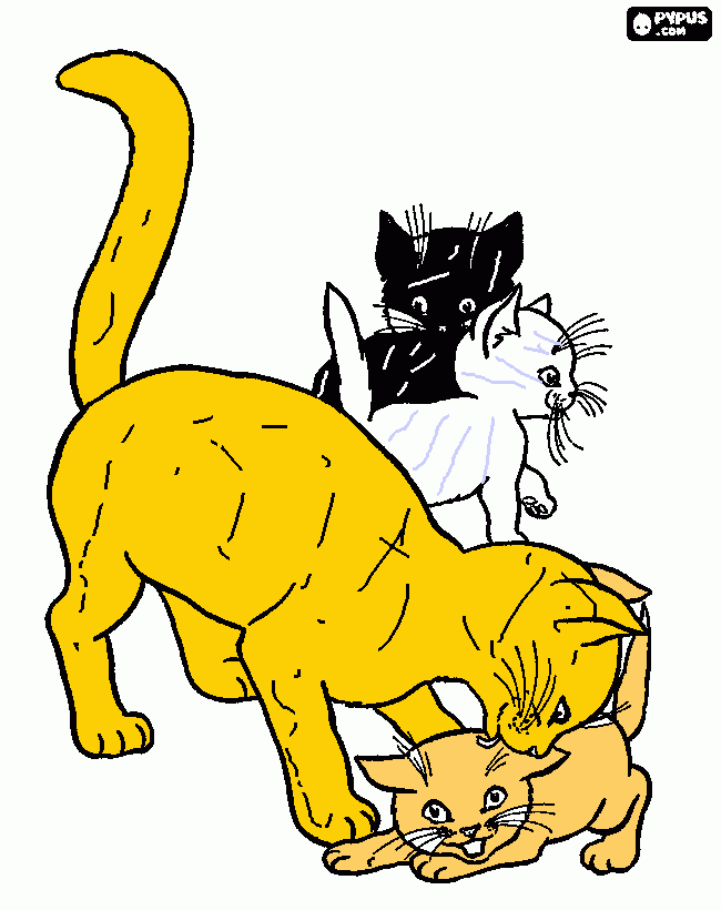 mamifero es un gato para colorear