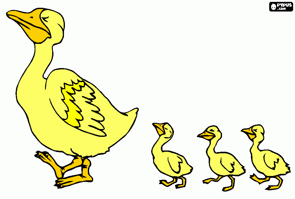 mamá pato con los patitos para colorear