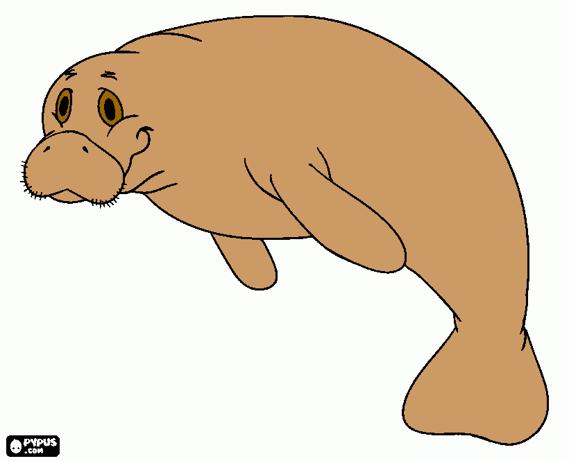manati para colorear