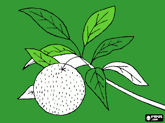 mandarina para colorear