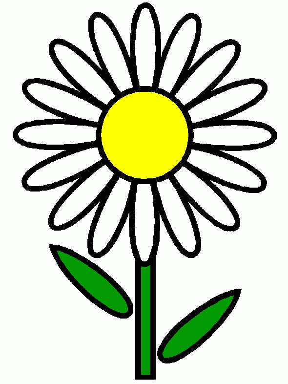 margarita blanca para colorear
