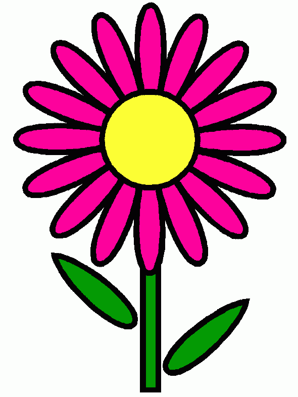 margarita rosa para colorear