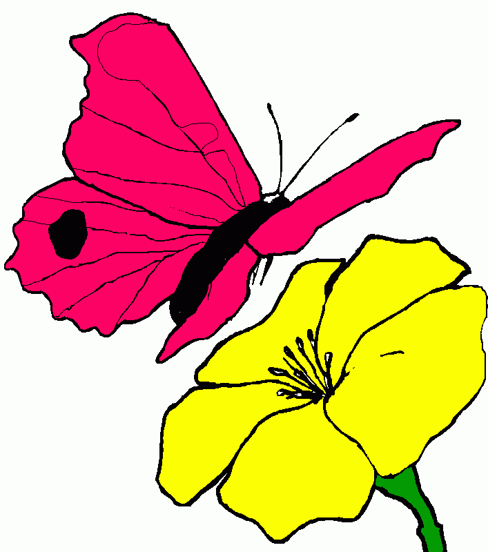 mariposa linda para colorear