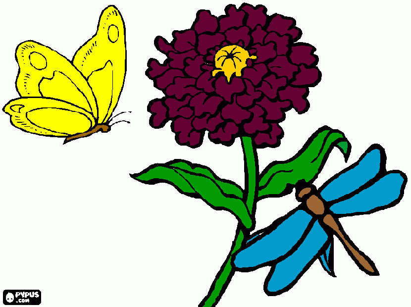 MARIPOSA Y LIBELULA para colorear