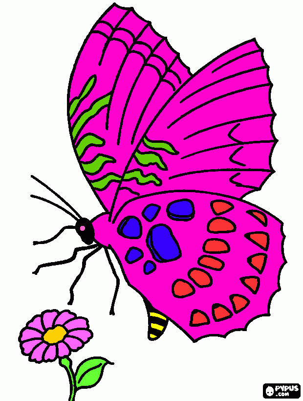 mariposa para colorear