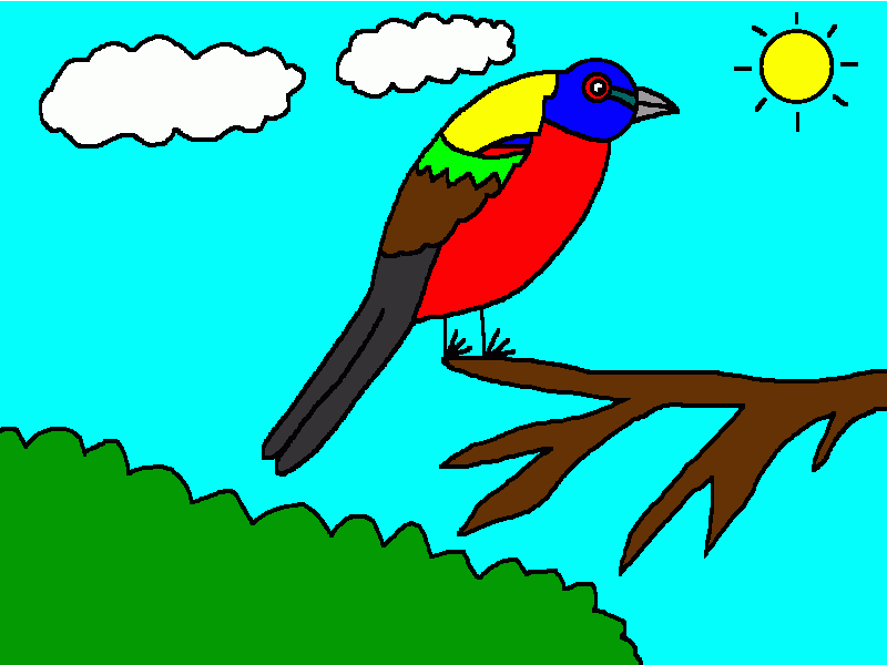 mariposo o azulillo, un pájaro macho para colorear