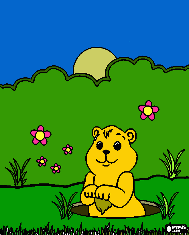 marmota para colorear