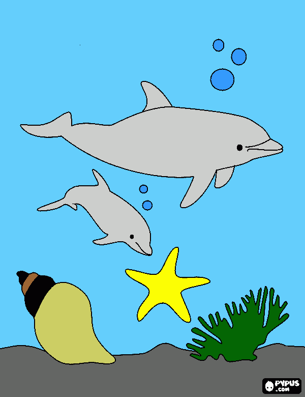 marposas para colorear