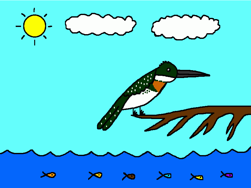 martín pescador verde en sobre una rama para colorear