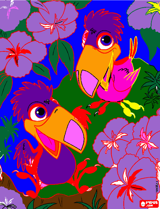 medio ambiente, pájaros tropicales para colorear
